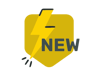 Section-New